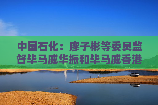 中国石化：廖子彬等委员监督毕马威华振和毕马威香港2024年度履职情况