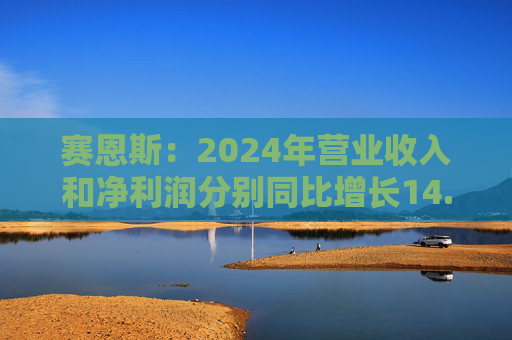 赛恩斯：2024年营业收入和净利润分别同比增长14.75%、111.71%
