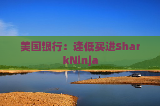 美国银行：逢低买进SharkNinja
