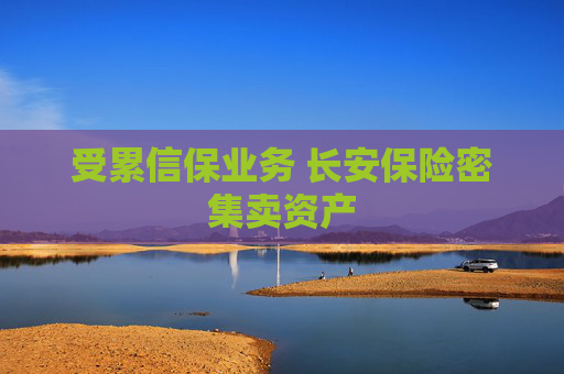 受累信保业务 长安保险密集卖资产