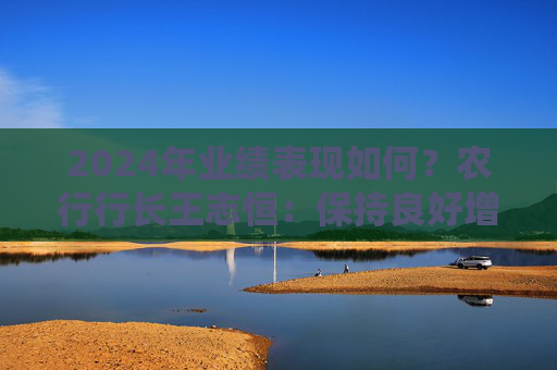 2024年业绩表现如何？农行行长王志恒：保持良好增长，体现在四大方面