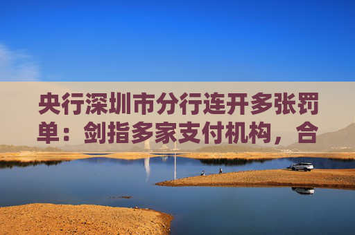 央行深圳市分行连开多张罚单：剑指多家支付机构，合计罚没超1483万元