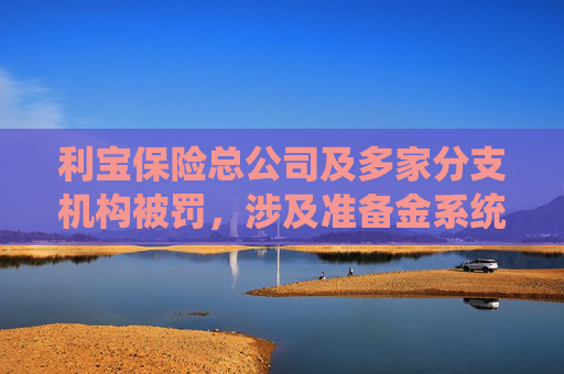 利宝保险总公司及多家分支机构被罚，涉及准备金系统建设不完善、虚构保险中介业务套取费用等