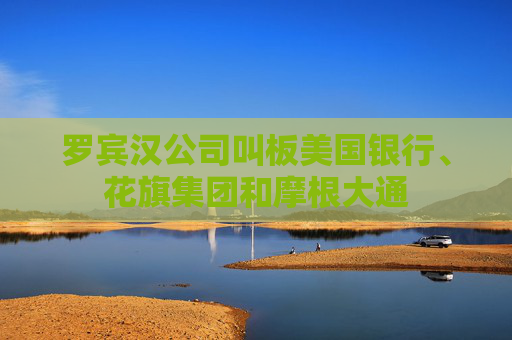 罗宾汉公司叫板美国银行、花旗集团和摩根大通