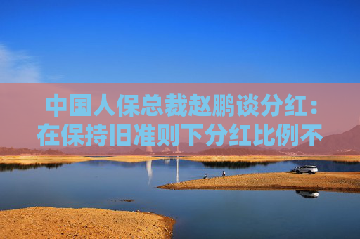 中国人保总裁赵鹏谈分红：在保持旧准则下分红比例不下降的基础上，实现每股分红的稳定增长