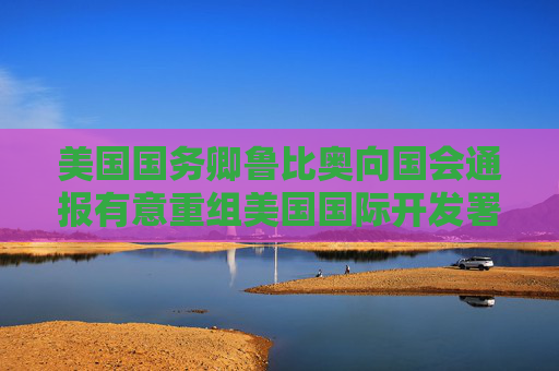 美国国务卿鲁比奥向国会通报有意重组美国国际开发署