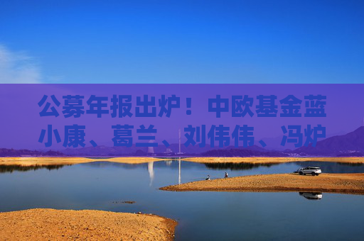 公募年报出炉！中欧基金蓝小康、葛兰、刘伟伟、冯炉丹最新观点一览