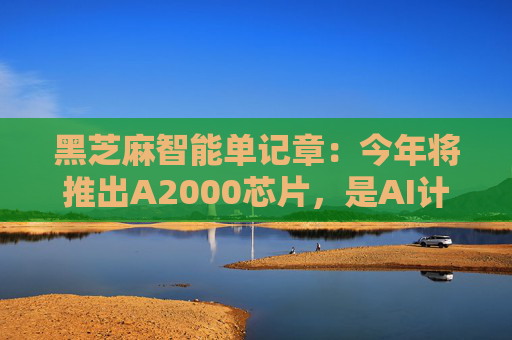 黑芝麻智能单记章：今年将推出A2000芯片，是AI计算效率的重大突破