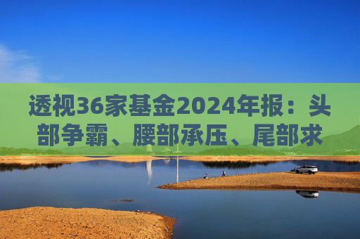 透视36家基金2024年报：头部争霸、腰部承压、尾部求生