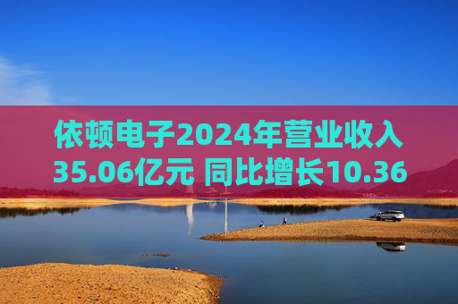 依顿电子2024年营业收入35.06亿元 同比增长10.36%