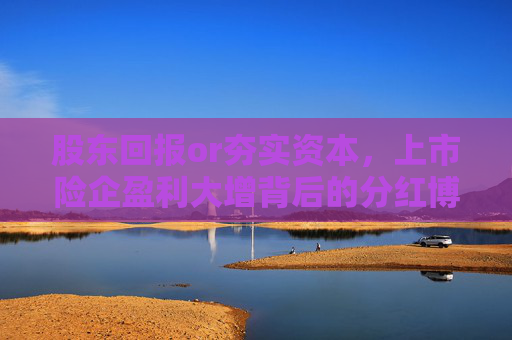 股东回报or夯实资本，上市险企盈利大增背后的分红博弈