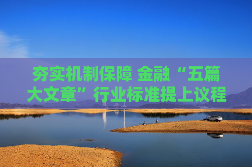 夯实机制保障 金融“五篇大文章”行业标准提上议程