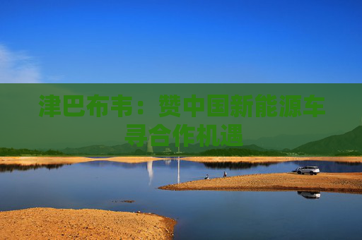 津巴布韦：赞中国新能源车 寻合作机遇