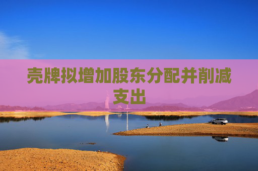 壳牌拟增加股东分配并削减支出