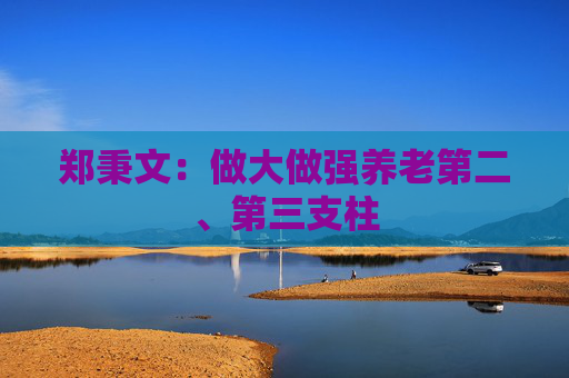 郑秉文：做大做强养老第二、第三支柱