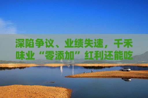 深陷争议、业绩失速，千禾味业“零添加”红利还能吃多久