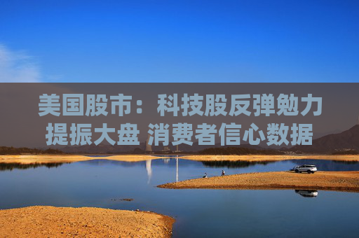 美国股市：科技股反弹勉力提振大盘 消费者信心数据令市场蒙阴