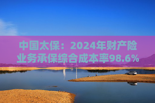 中国太保：2024年财产险业务承保综合成本率98.6% 同比上升0.9个百分点