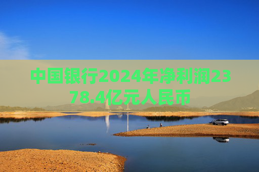 中国银行2024年净利润2378.4亿元人民币