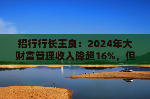 招行行长王良：2024年大财富管理收入降超16%，但降幅逐季改善