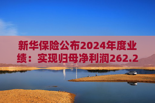 新华保险公布2024年度业绩：实现归母净利润262.29亿元 同比增长201.1%