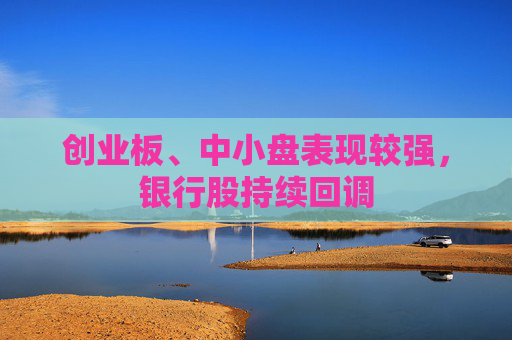 创业板、中小盘表现较强，银行股持续回调