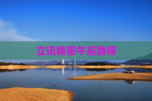 立讯精密午后跌停