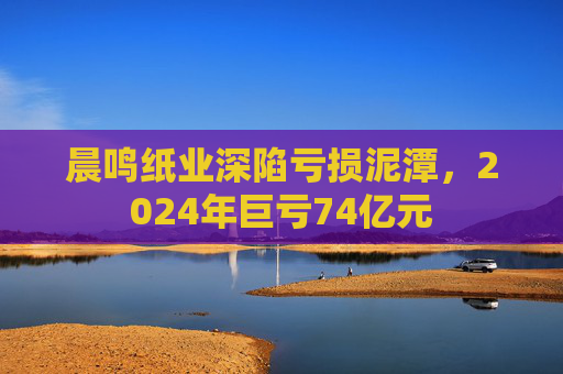 晨鸣纸业深陷亏损泥潭，2024年巨亏74亿元