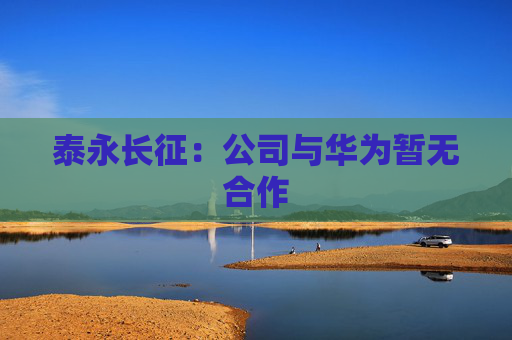 泰永长征：公司与华为暂无合作