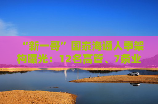 “新一哥”国泰海通人事架构曝光：12名高管、7条业务线、41个部门浮出水面