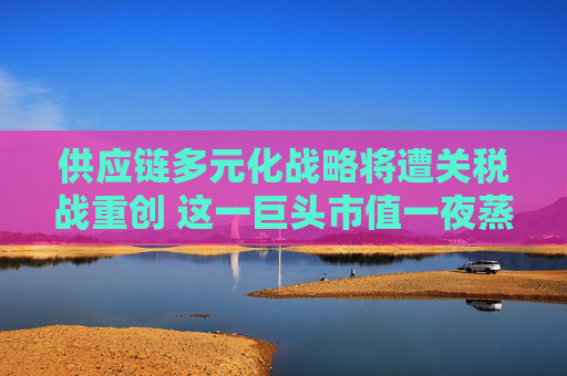 供应链多元化战略将遭关税战重创 这一巨头市值一夜蒸发超3000亿美元