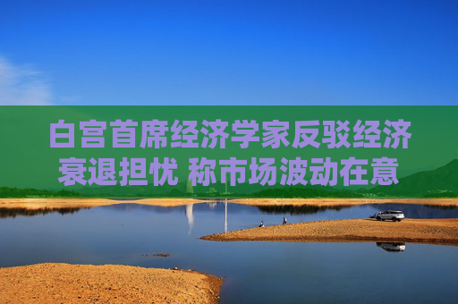 白宫首席经济学家反驳经济衰退担忧 称市场波动在意料之中
