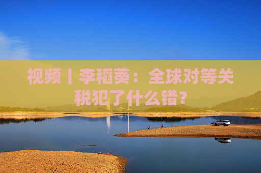 视频丨李稻葵：全球对等关税犯了什么错？