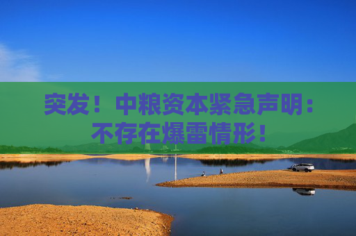 突发！中粮资本紧急声明：不存在爆雷情形！