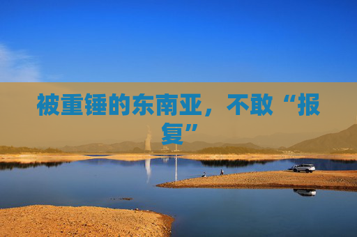 被重锤的东南亚，不敢“报复”