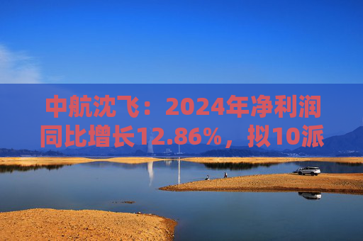中航沈飞：2024年净利润同比增长12.86%，拟10派2.6元