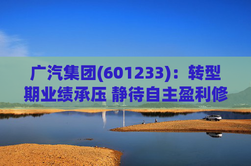 广汽集团(601233)：转型期业绩承压 静待自主盈利修复