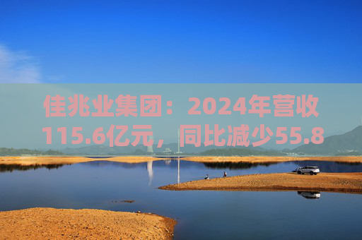 佳兆业集团：2024年营收115.6亿元，同比减少55.8%