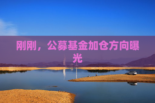 刚刚，公募基金加仓方向曝光