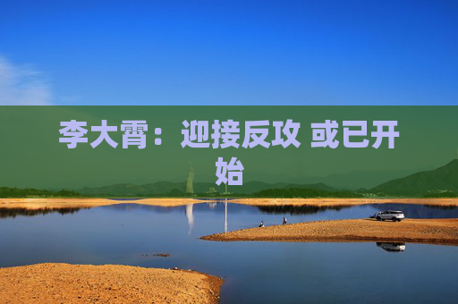 李大霄：迎接反攻 或已开始
