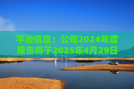 平治信息：公司2024年度报告将于2025年4月29日披露