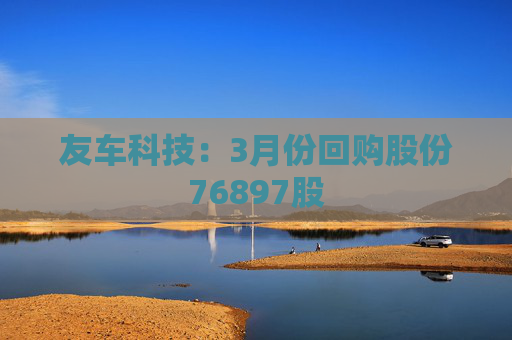 友车科技：3月份回购股份76897股