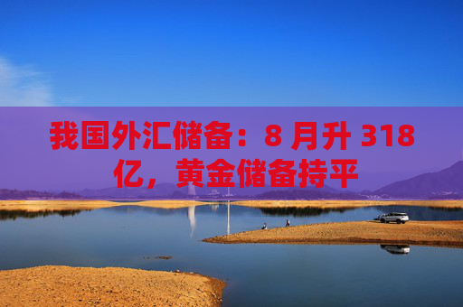 我国外汇储备：8 月升 318 亿，黄金储备持平