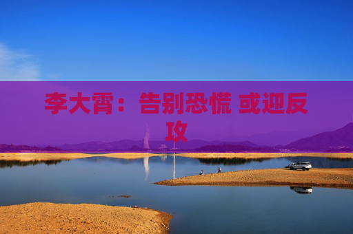 李大霄：告别恐慌 或迎反攻