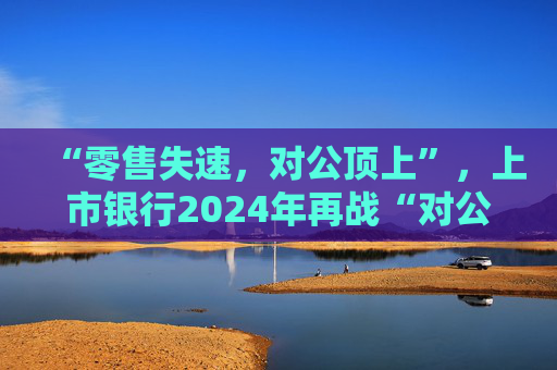 “零售失速，对公顶上”，上市银行2024年再战“对公”｜年报观察