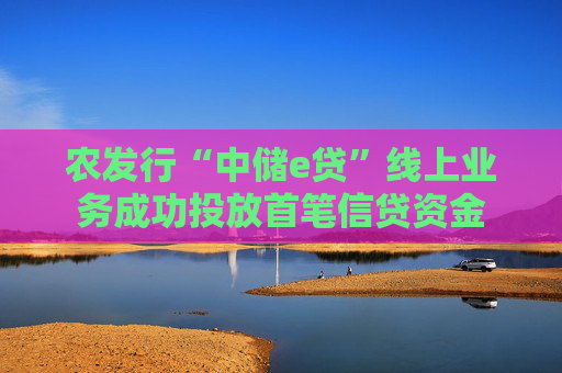 农发行“中储e贷”线上业务成功投放首笔信贷资金