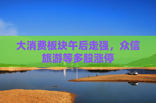 大消费板块午后走强，众信旅游等多股涨停
