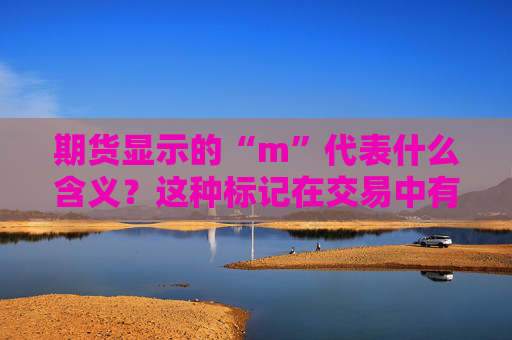 期货显示的“m”代表什么含义？这种标记在交易中有什么特殊用途？