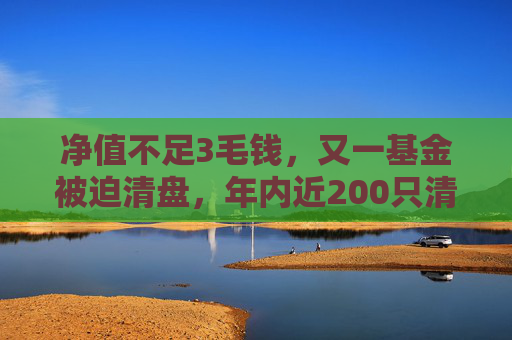 净值不足3毛钱，又一基金被迫清盘，年内近200只清盘，清盘节奏明显加快