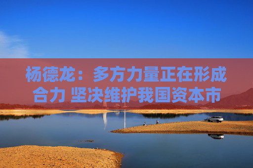 杨德龙：多方力量正在形成合力 坚决维护我国资本市场稳定